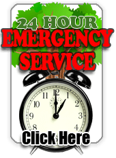 Emergency Tree cutting service queens County new York local near me 