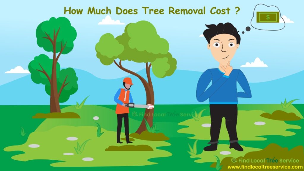 How Much Does Tree Removal Cost ?